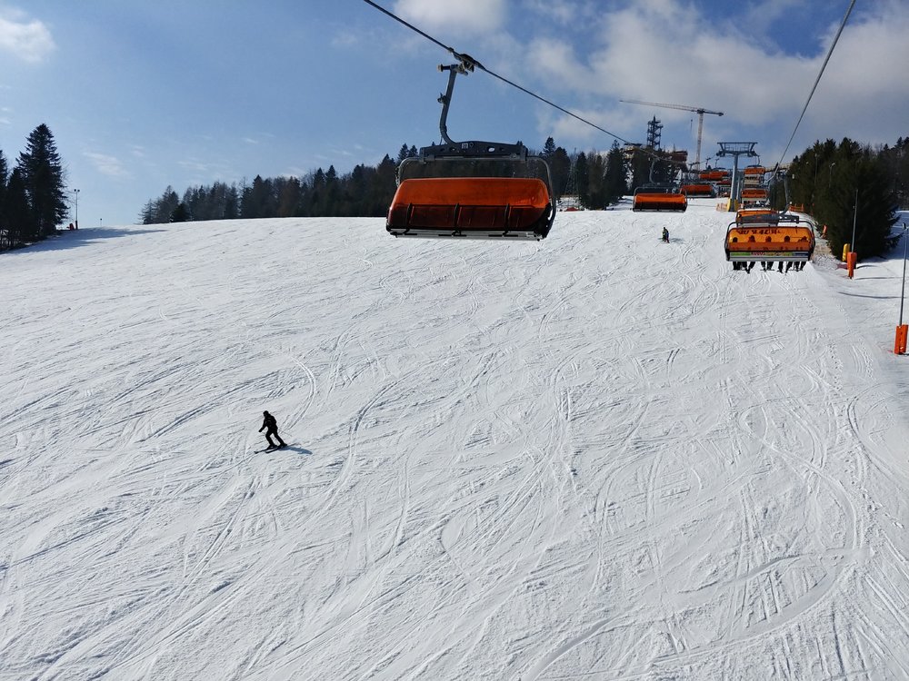 20190226_110413_HDR.thumb.jpg.8afe181446663a931ae28f8b462a5461.jpg