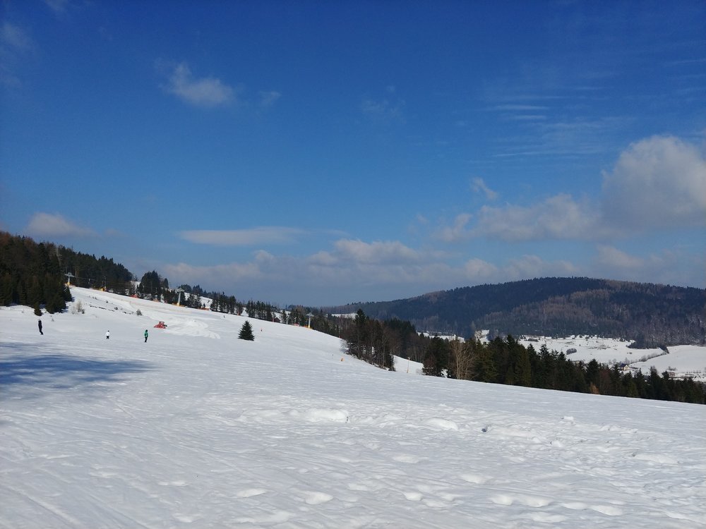 20190226_110943.thumb.jpg.2b18c40cba93a32a3ab4227e8333728b.jpg