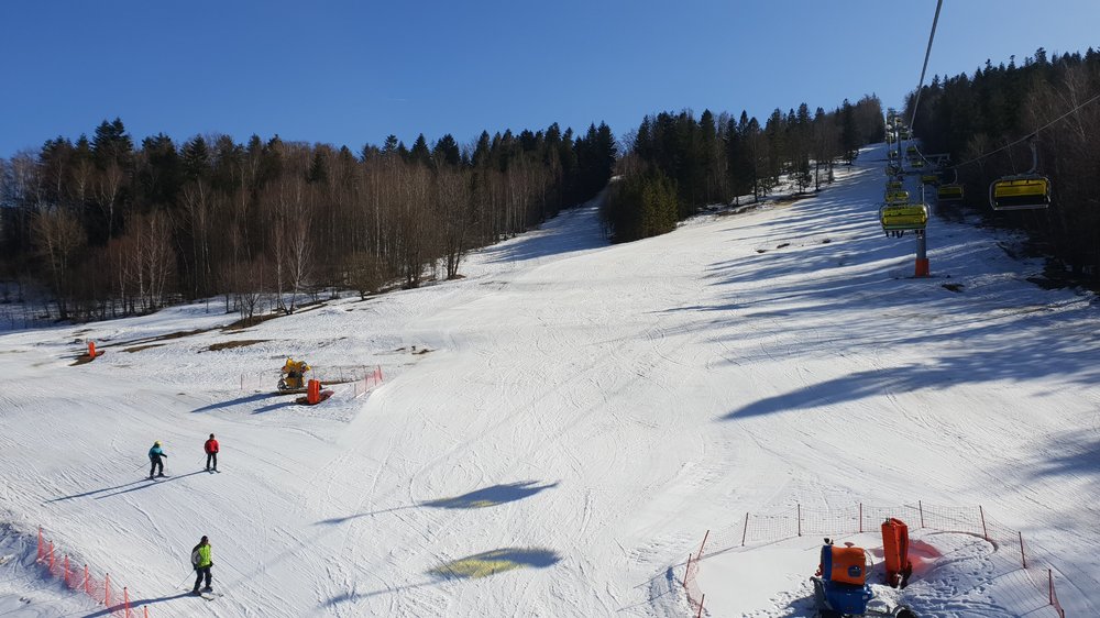 20190227_130026.jpg
