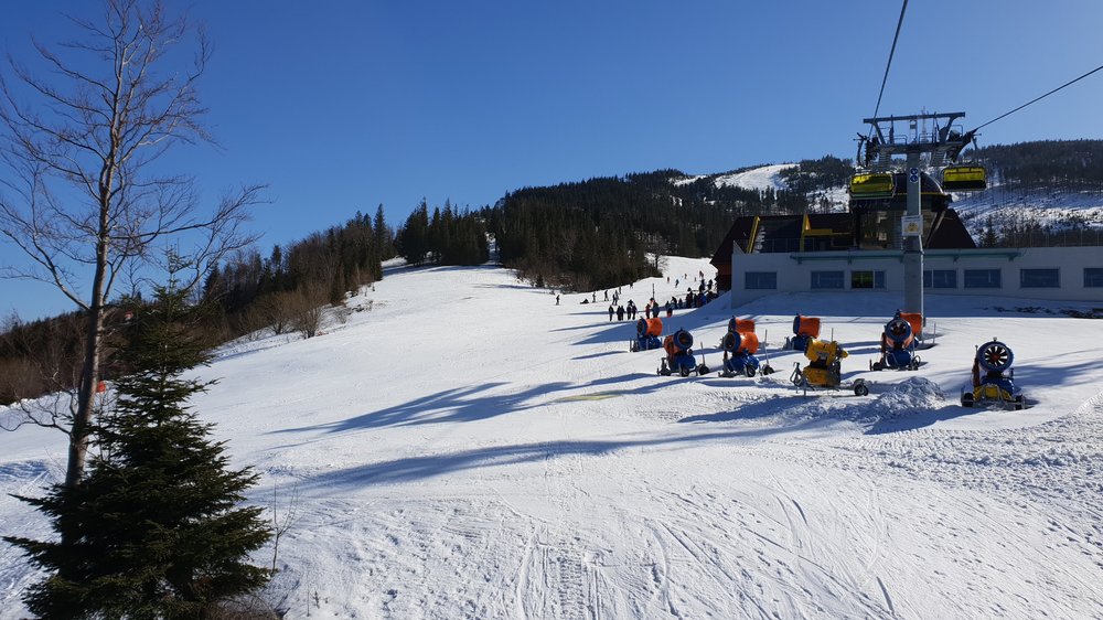 20190227_130758.jpg