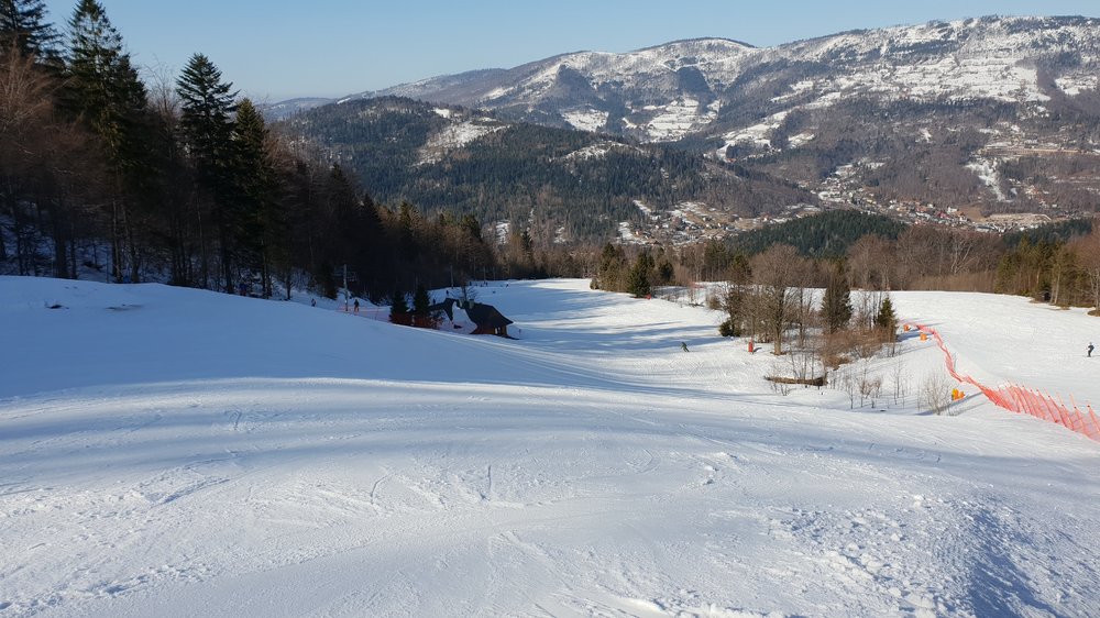 20190227_131016.jpg