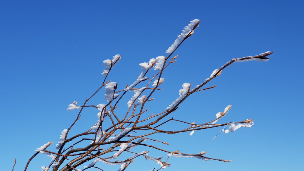 20190227_133755.jpg