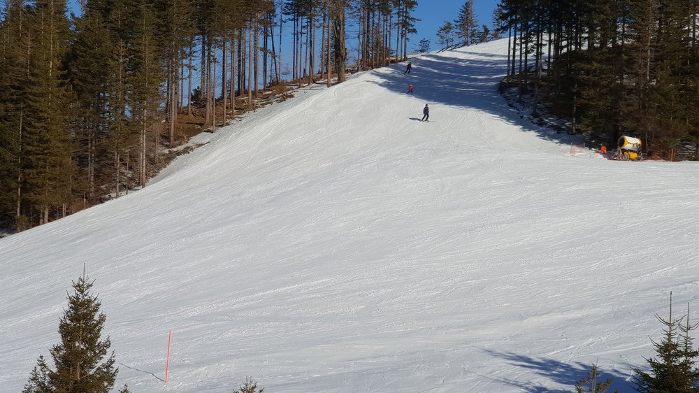 20190227_141025.jpg