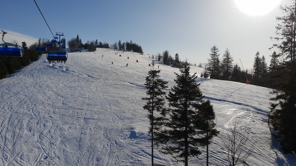 20190227_145133.jpg