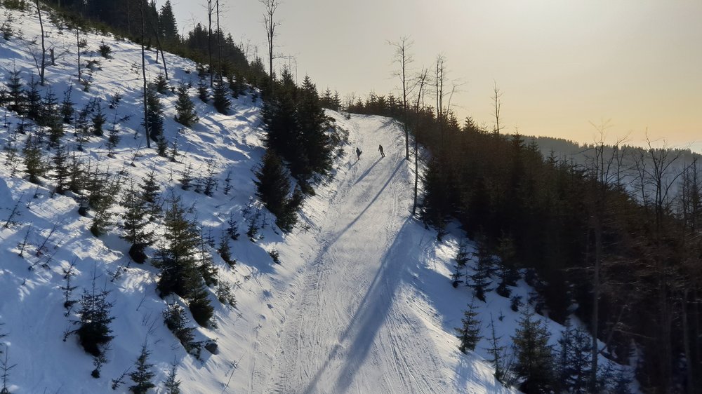 20190227_154940.jpg