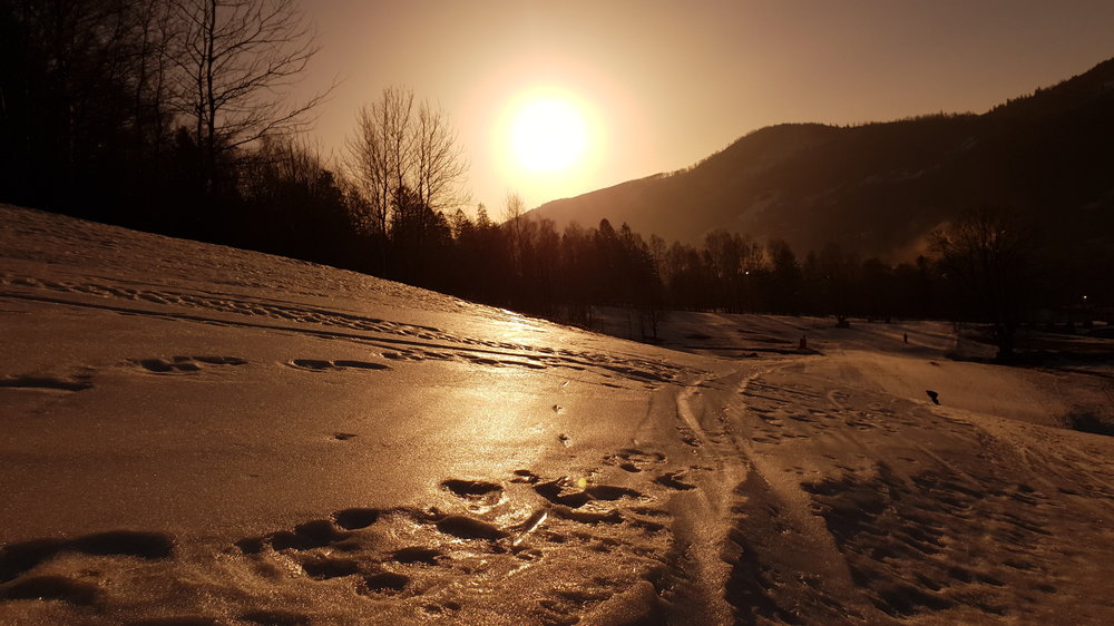 20190227_161442.jpg