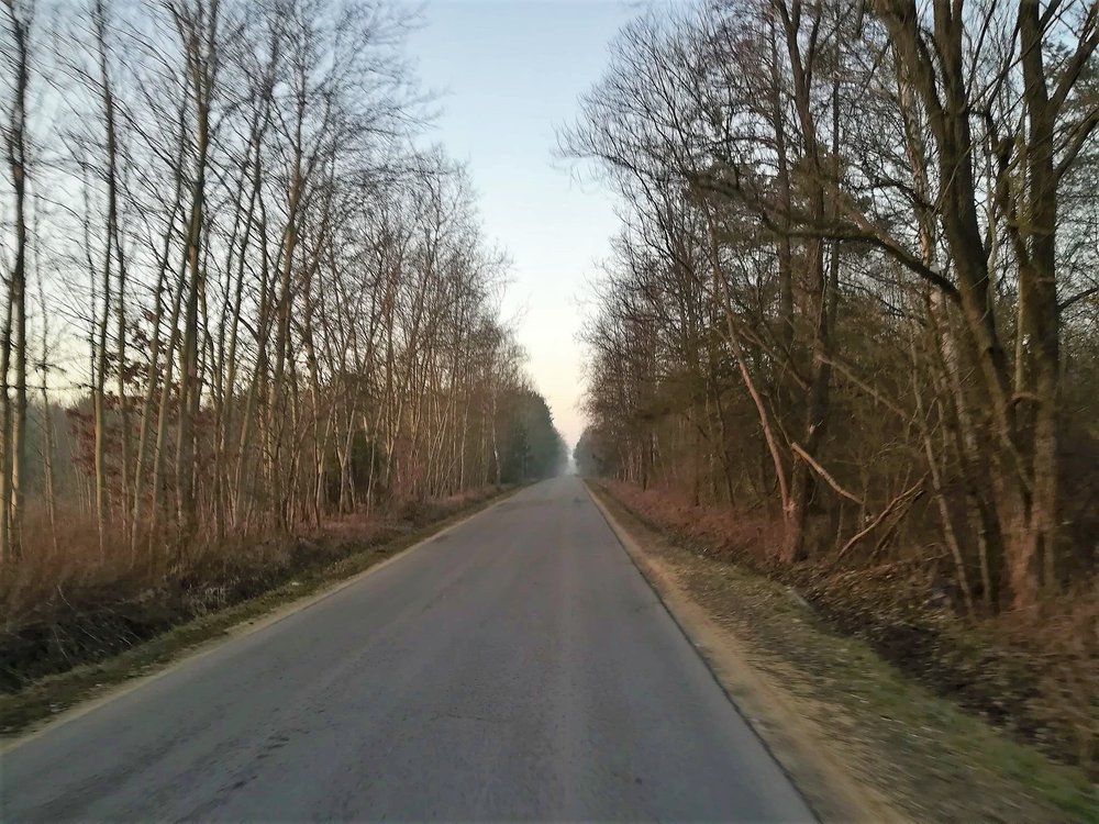 6.thumb.jpg.cddf792f241954a18e254a42b3b62186.jpg