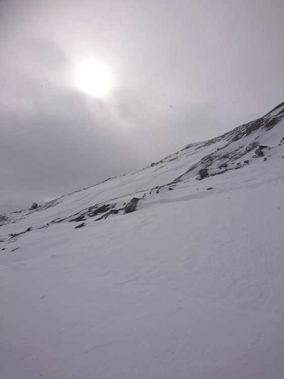 DSC_2046.JPG