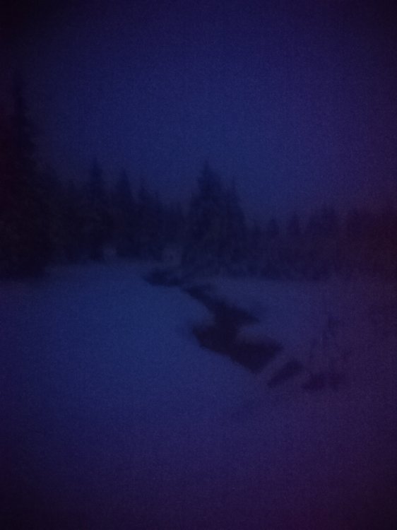 DSC_2683.JPG