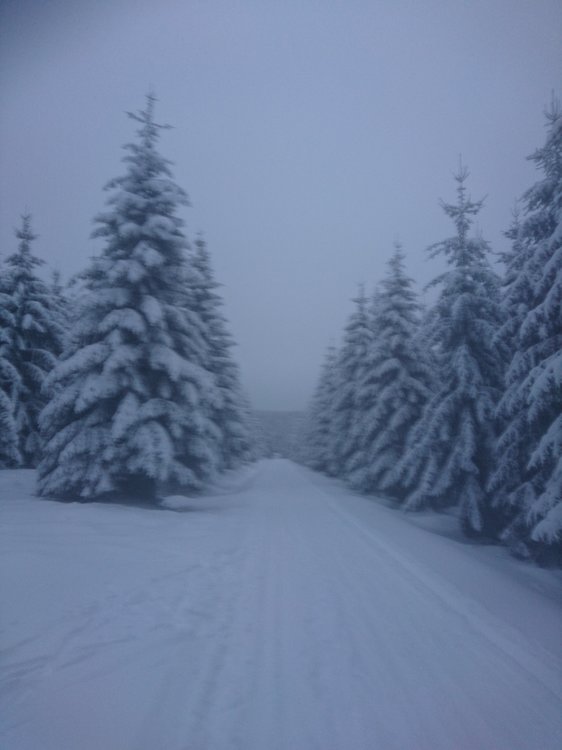 DSC_2707.JPG