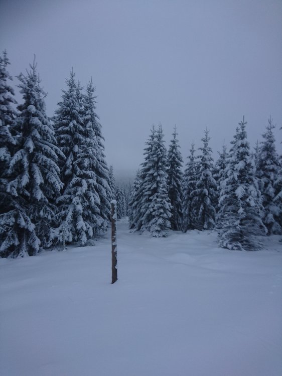DSC_2711.JPG