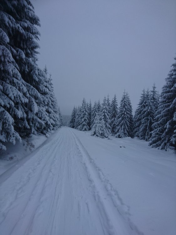 DSC_2713.JPG