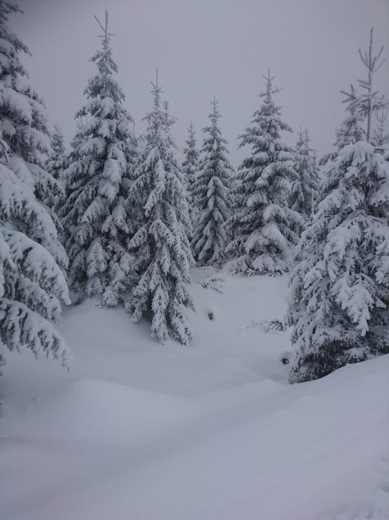 DSC_2715.JPG