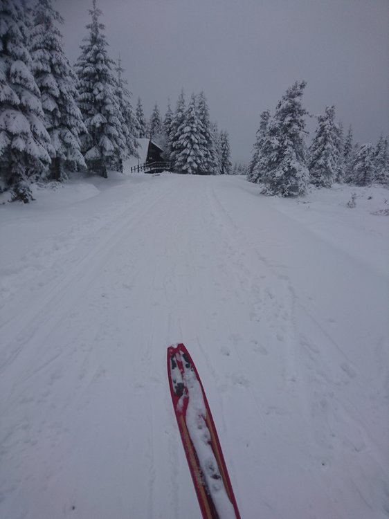 DSC_2720.JPG