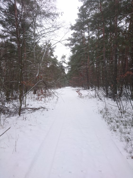 DSC_3428.JPG