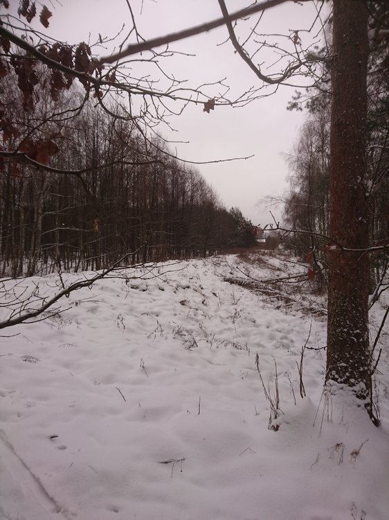 DSC_3434.JPG
