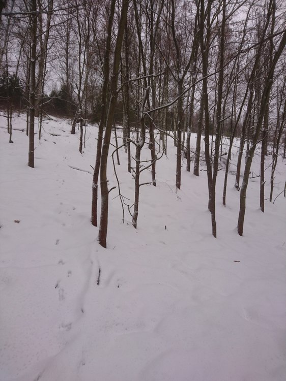 DSC_3435.JPG