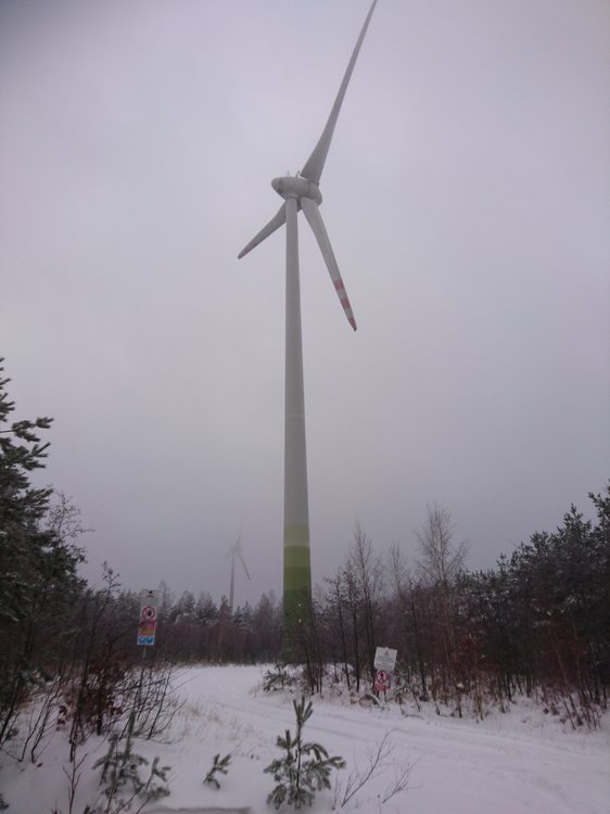 DSC_3446.JPG
