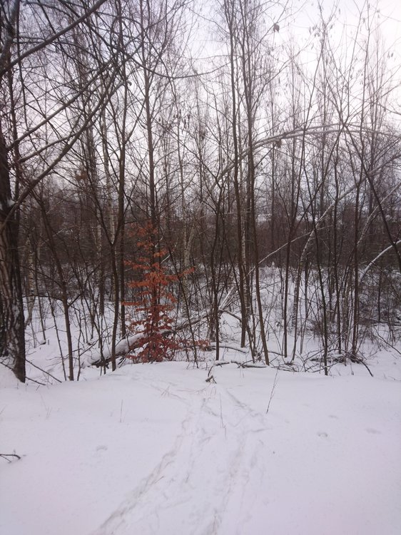 DSC_3466.JPG