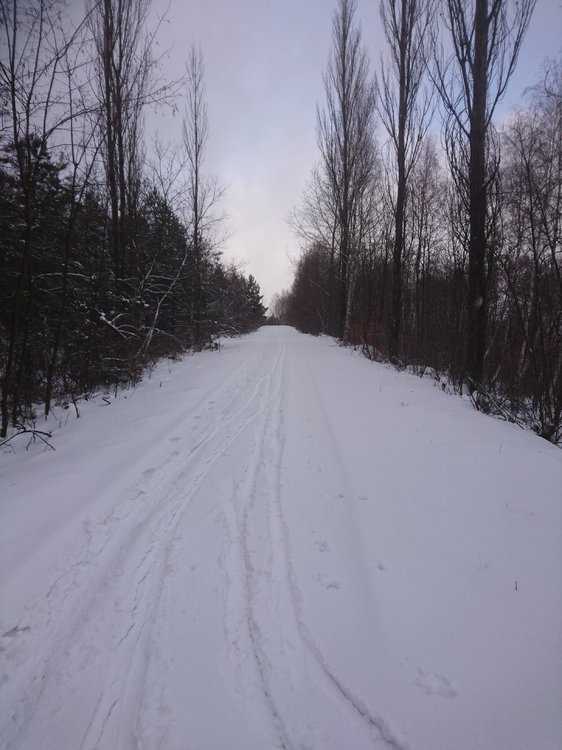 DSC_3467.JPG