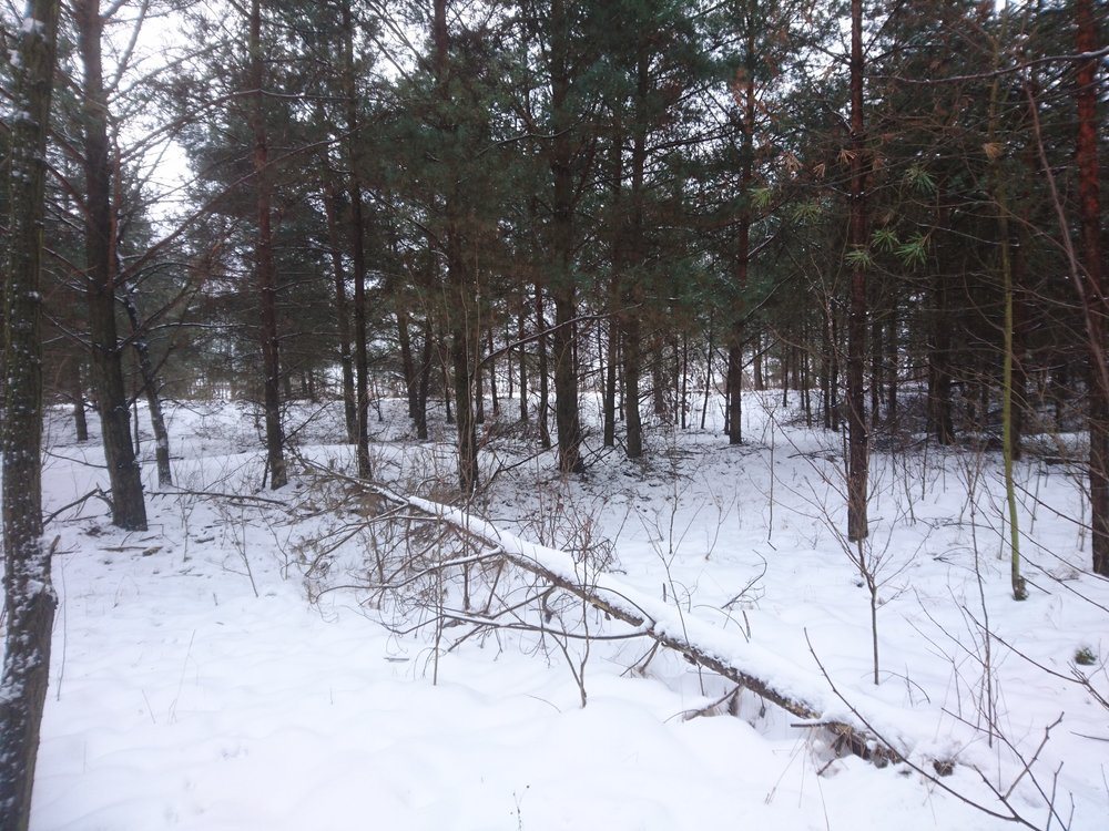 DSC_3477.JPG