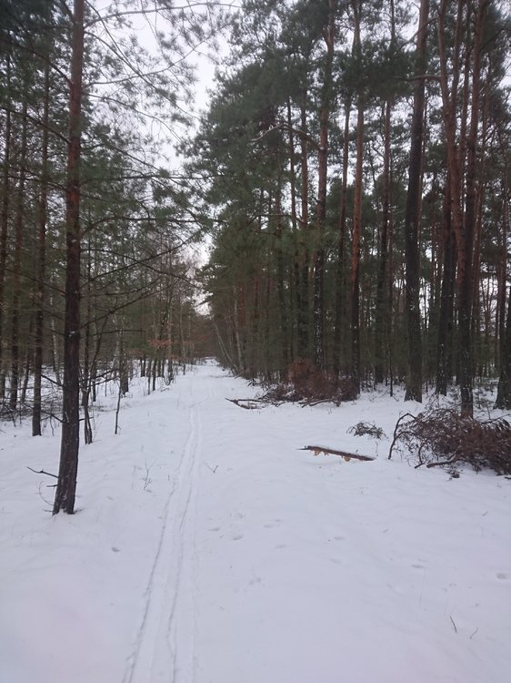 DSC_3478.JPG
