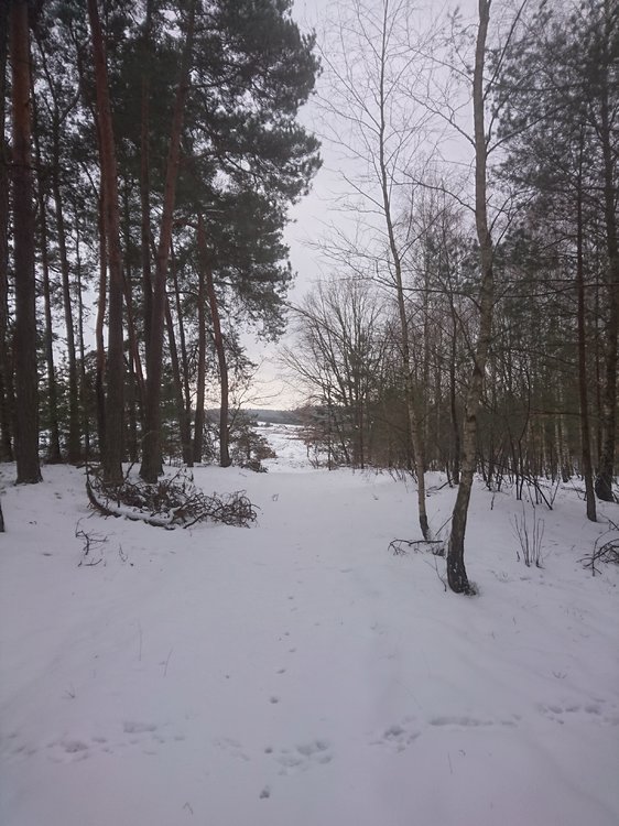 DSC_3479.JPG