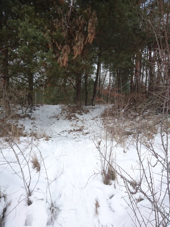 DSC_3483.JPG