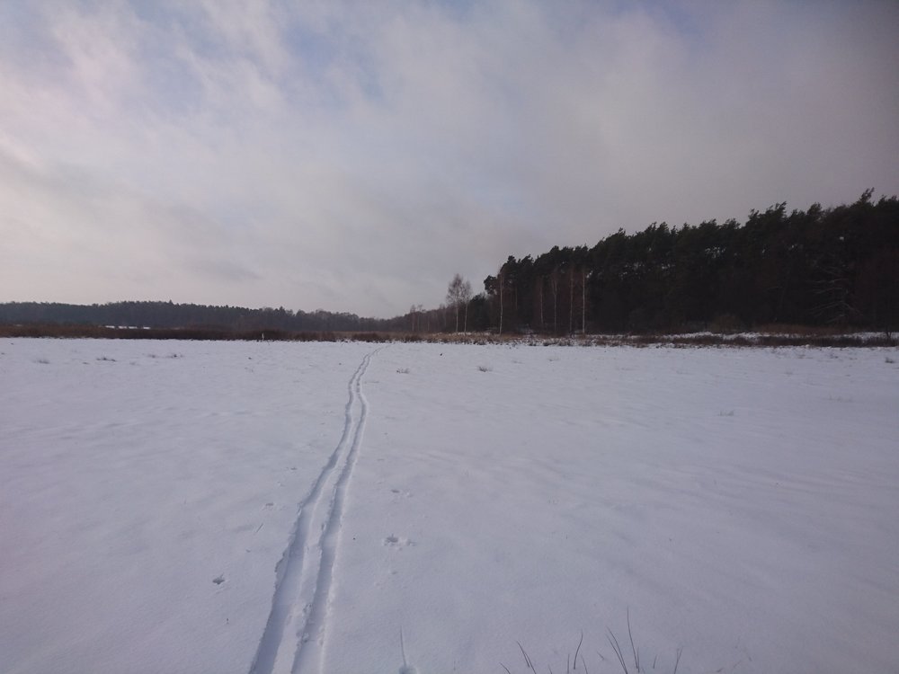 DSC_3493.JPG