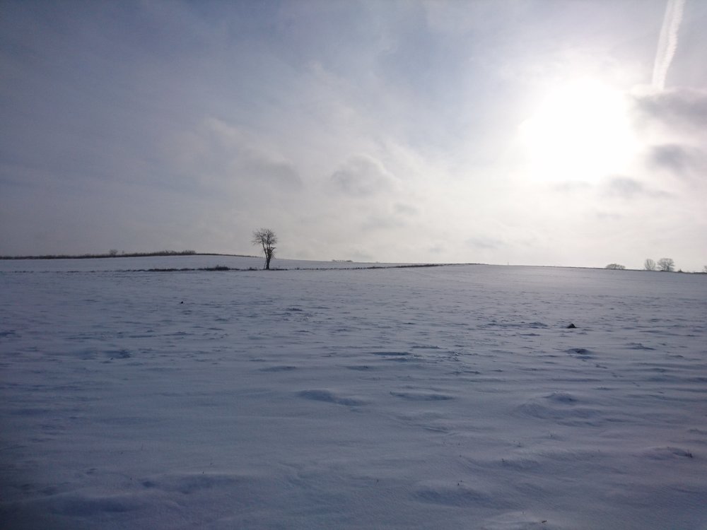 DSC_3502.JPG