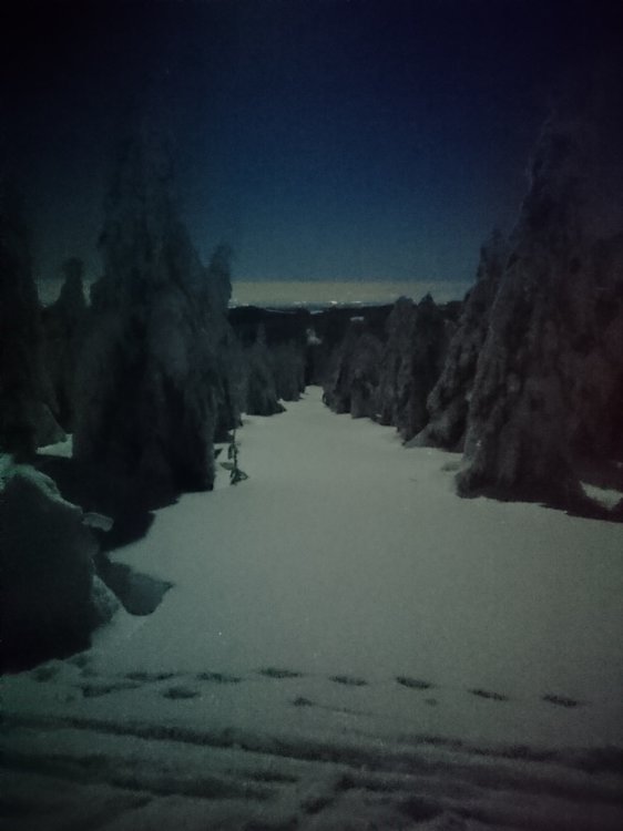 DSC_3879.JPG