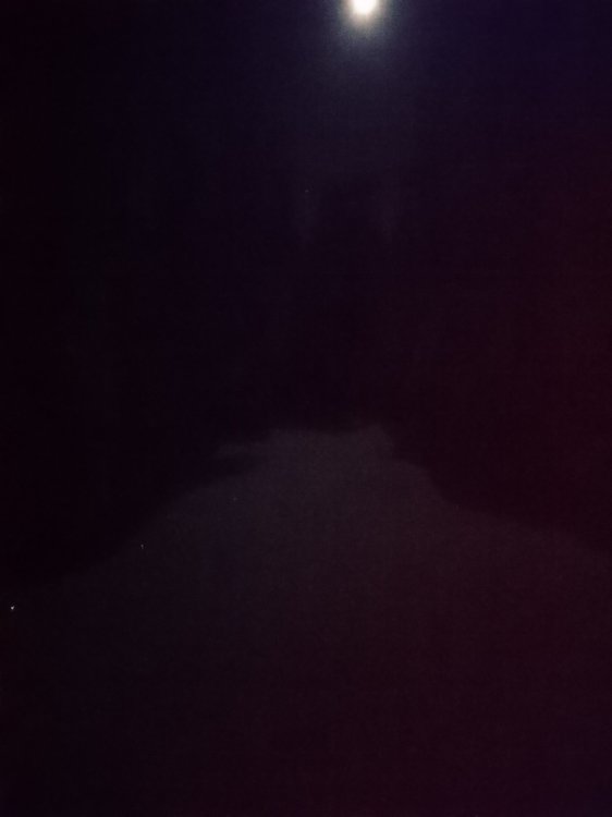 DSC_3888.JPG