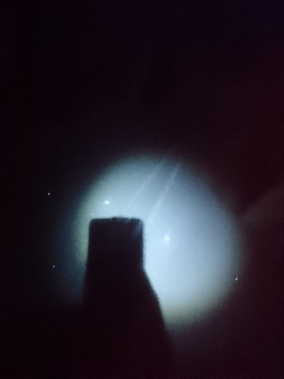 DSC_3894.JPG