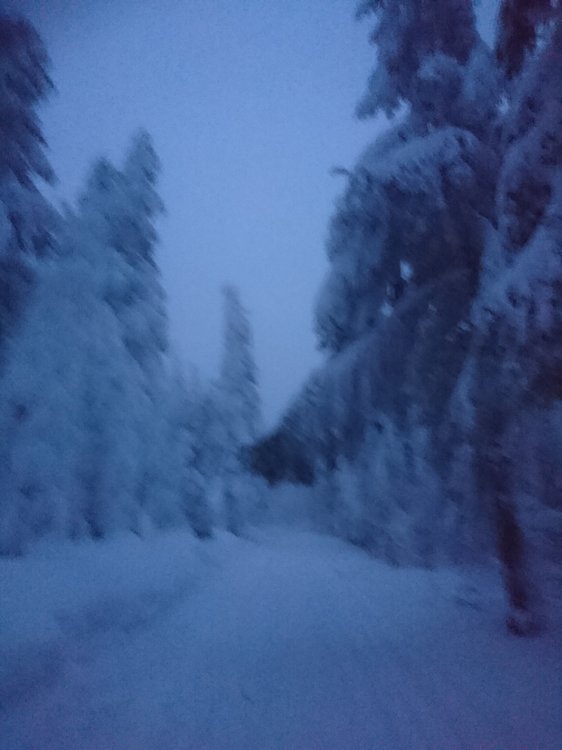 DSC_4101.JPG