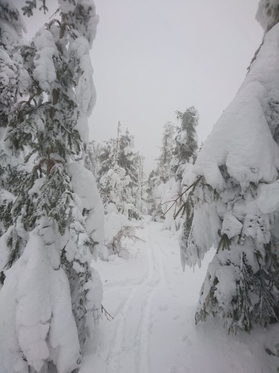 DSC_4146.JPG
