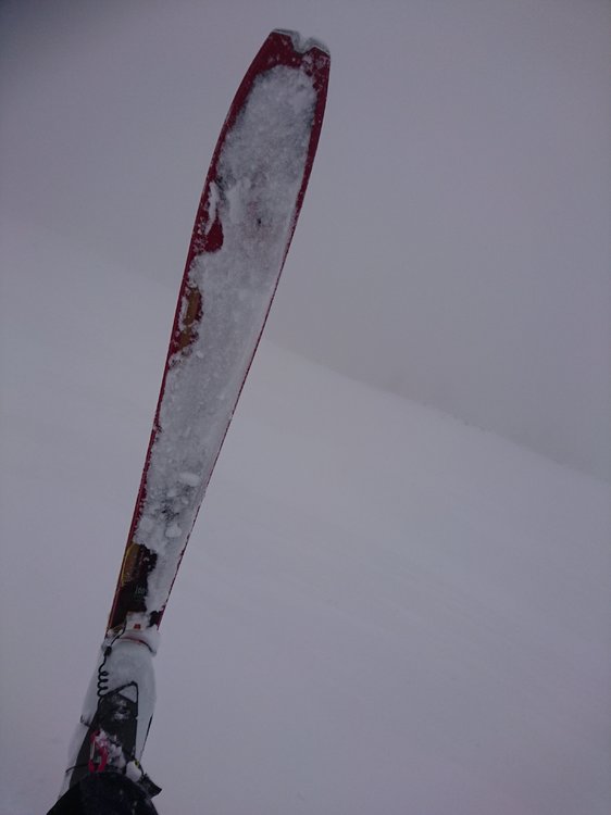 DSC_4542.JPG