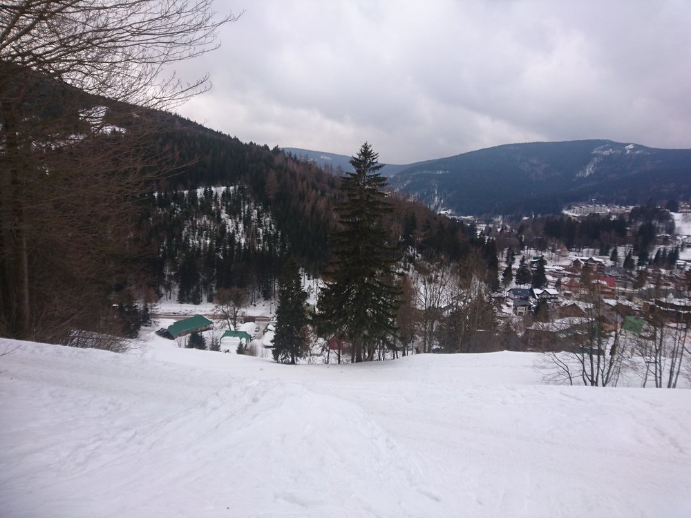 DSC_4754.JPG