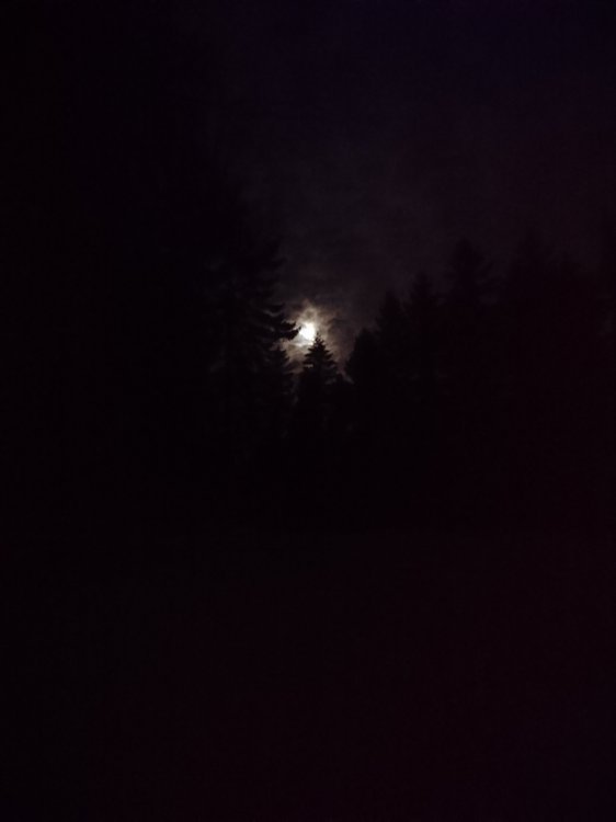 DSC_4840.JPG