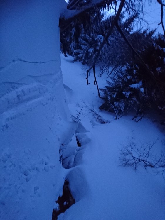 DSC_4886.JPG