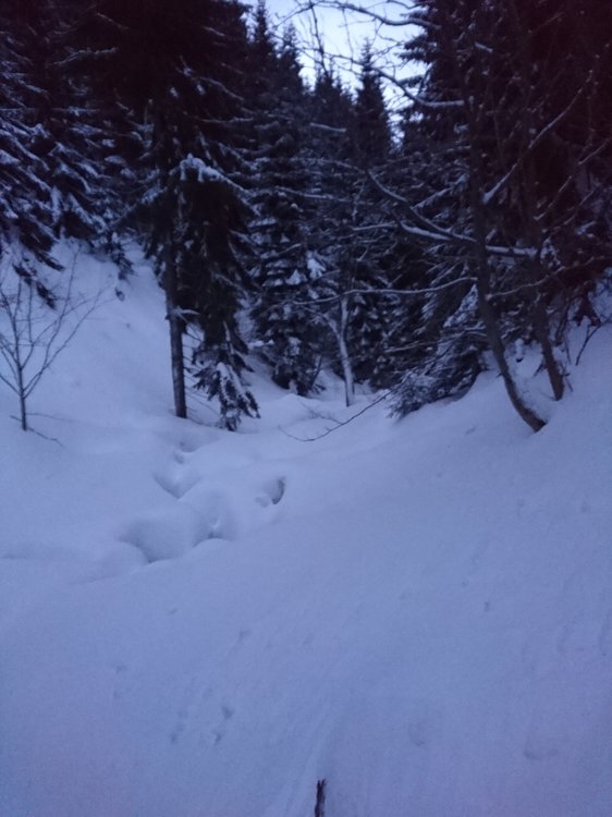 DSC_4890.JPG