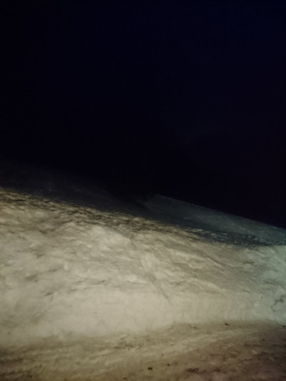 DSC_4960.JPG