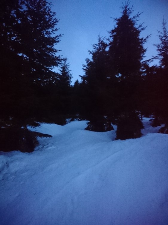 DSC_4977.JPG
