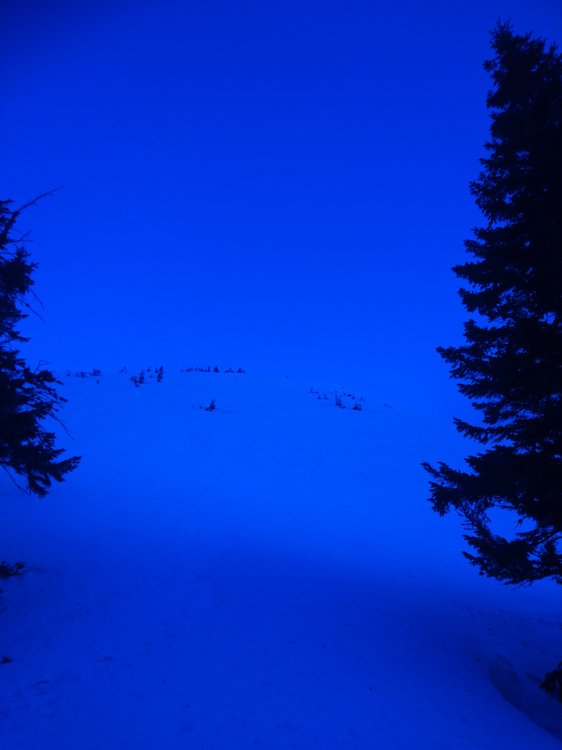 DSC_4999.JPG