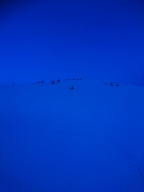 DSC_5004.JPG