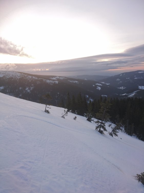 DSC_5025.JPG