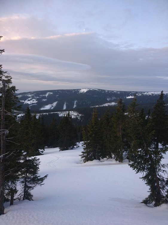 DSC_5026.JPG