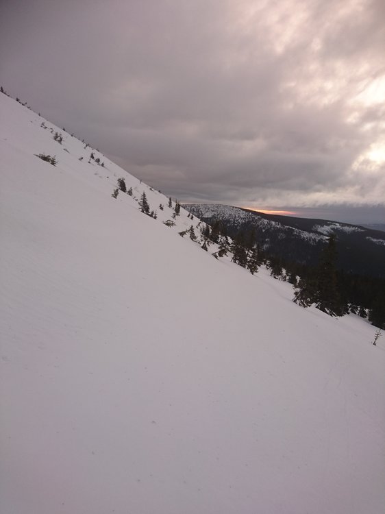 DSC_5036.JPG