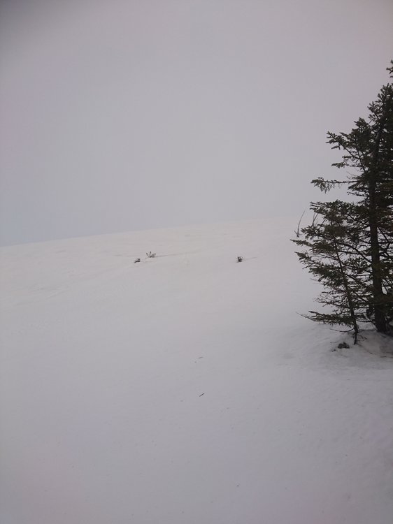 DSC_5077.JPG