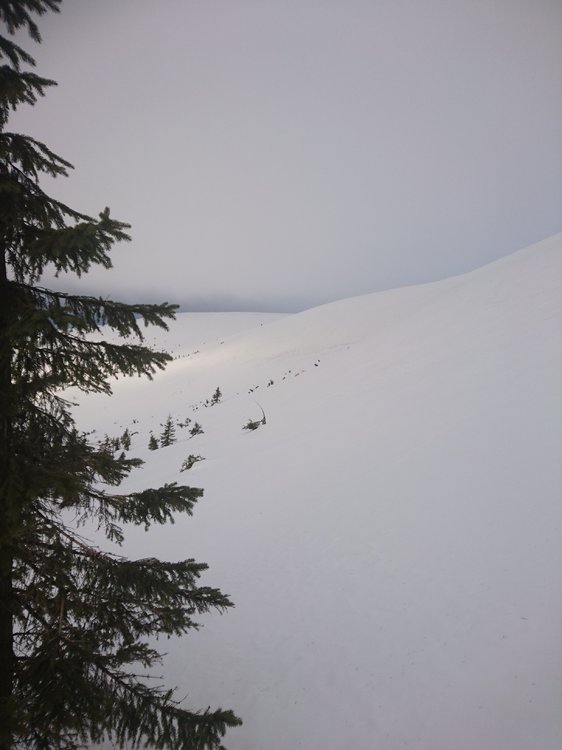 DSC_5078.JPG