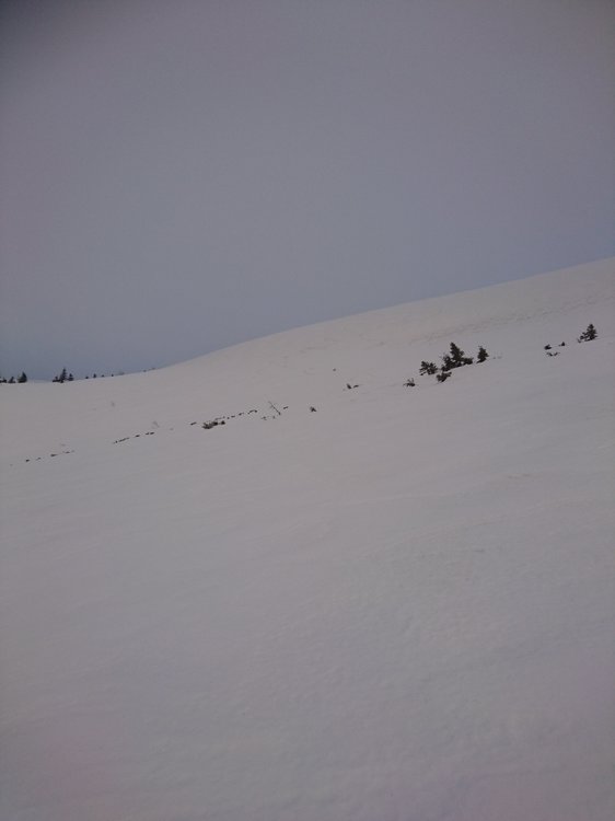 DSC_5084.JPG